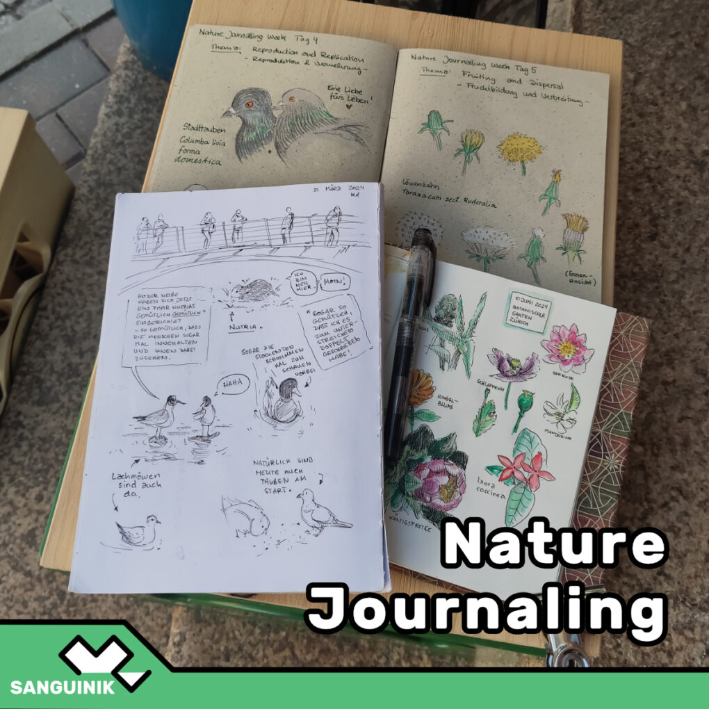 Foto von drei nebeneinander liegenden Skizzenbüchern auf denen verschiedene Naturzeichnungen zu sehen sind. Darauf ist der Text "Nature Journaling" geschrieben.